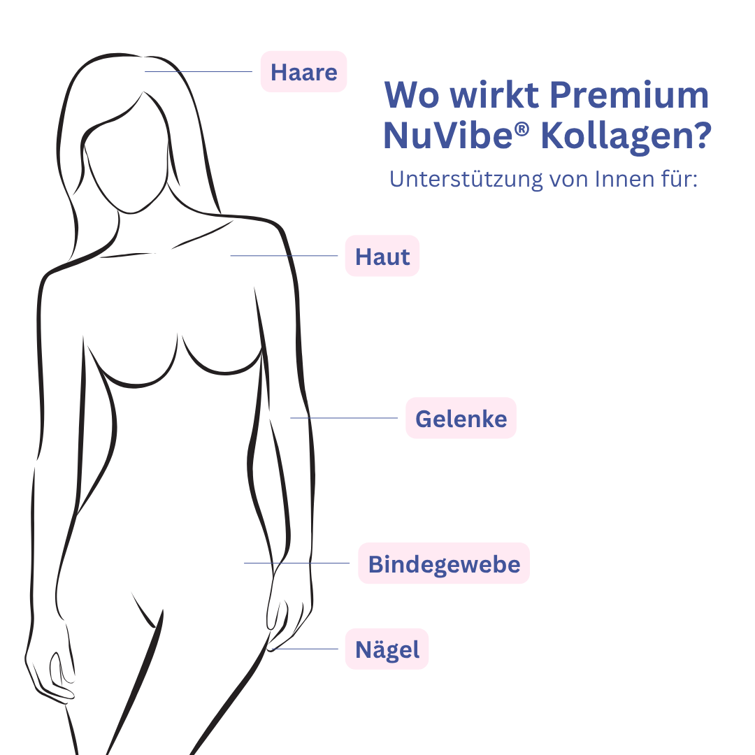 Wo wirkt NuVibe Kollagen im Körper